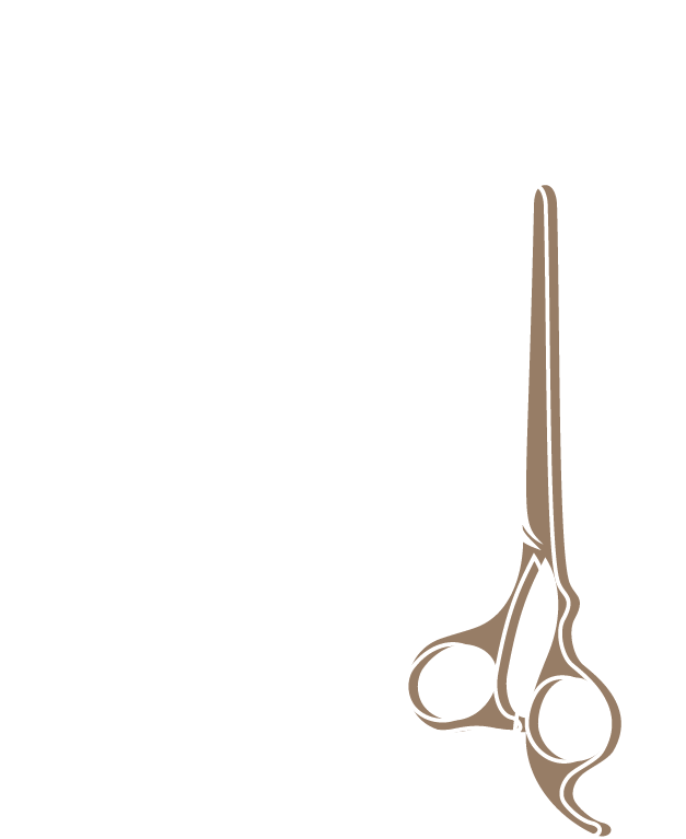 idn-logo